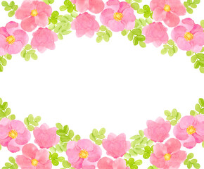 ハマナスの水彩画フレーム