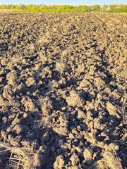 A large field of dirt