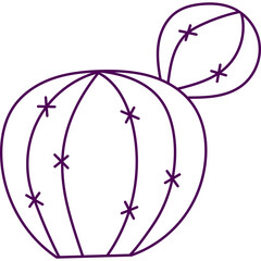 Doodle Cactus Houseplant