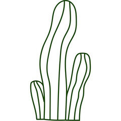Doodle Cactus Houseplant