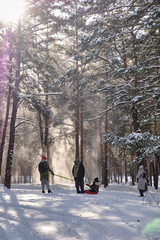 Funny people in Winter Park playing snowballs, actively spending time outdoors. Winter snowy...