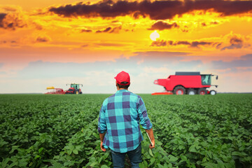 Fototapeta premium a man walks through a soybean industry field with tractors with sunset. AI GENERATE