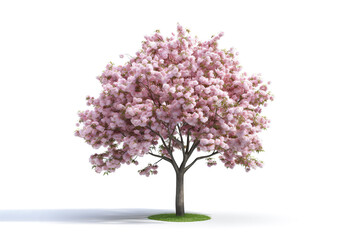 Obraz premium Image of cherry tree with beautiful pink blossoms on white background. Flower, Illustration, Generative AI.