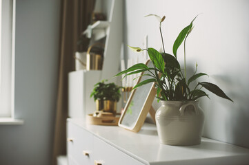 trendy modern scandinavian interior in white and grey tones decorated with houseplants and candles....