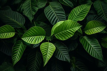 Green leafy background with Kratom tree and dark plant leaves. Medicinal plants - Mitragyna Speciosa. Generative AI