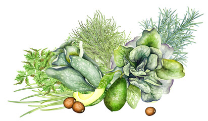 Watercolor drawing farm harvest, vegetables and fresh grass. Basket with vegetables, avocado, artichoke, dill, parsley, onion, garlic.