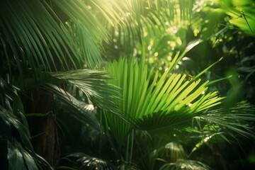 Obraz na płótnie Canvas Close-up of a lush green jungle with palm leaves bathing in sunlight, creating a stunning tropical nature banner. Generative AI
