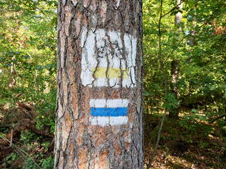 Bike trail sign in a forest.
