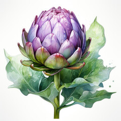 Obraz premium watercolor Artichoke Teaclipart, Generative Ai