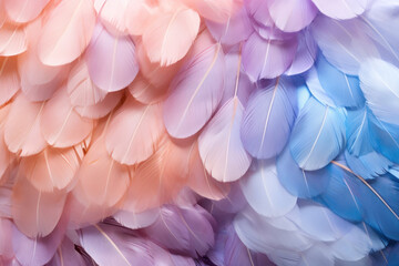 Extreme closeup pattern with colorful feathers in pastel colors. Abstract multicolored background.