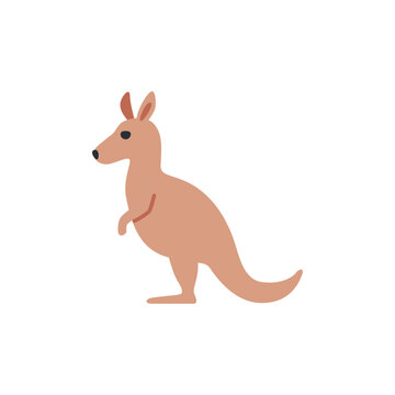 🦘 Kangaroo