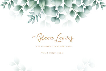 Beautiful green leaves background watercolor 