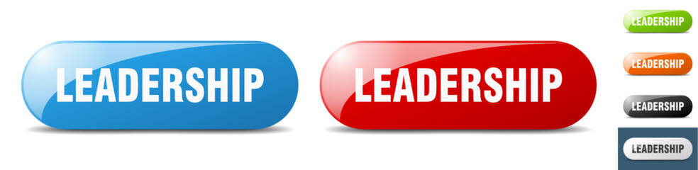 leadership button. key. sign. push button set