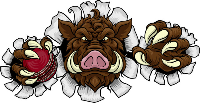 A wild boar, hog razorback warthog pig mean tough cartoon sports mascot holding a cricket ball