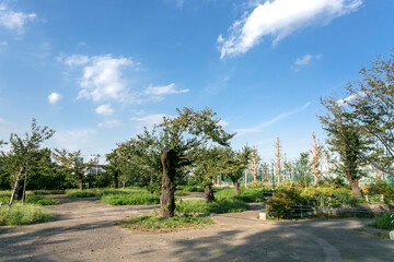 幸ケ谷公園（神奈川県横浜市神奈川区幸ケ谷）