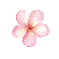 Flower Element Watercolor Illustration