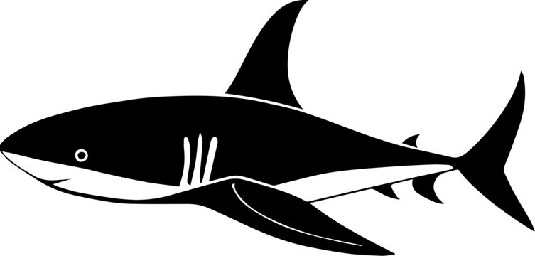 Kitefin Shark Icon 6