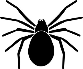  Joro Spider icon 1