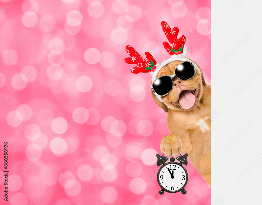 Poster happy mastiff puppy dressed like santa claus reindeer rudolf looking from behind empty white banner 