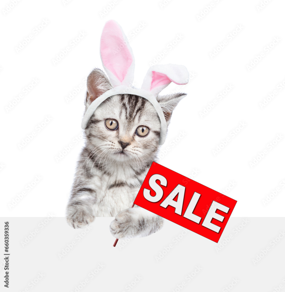 Poster tabby kitten wearing easter rabbits ears holds sales symbol behind empty white banner. isolated on w