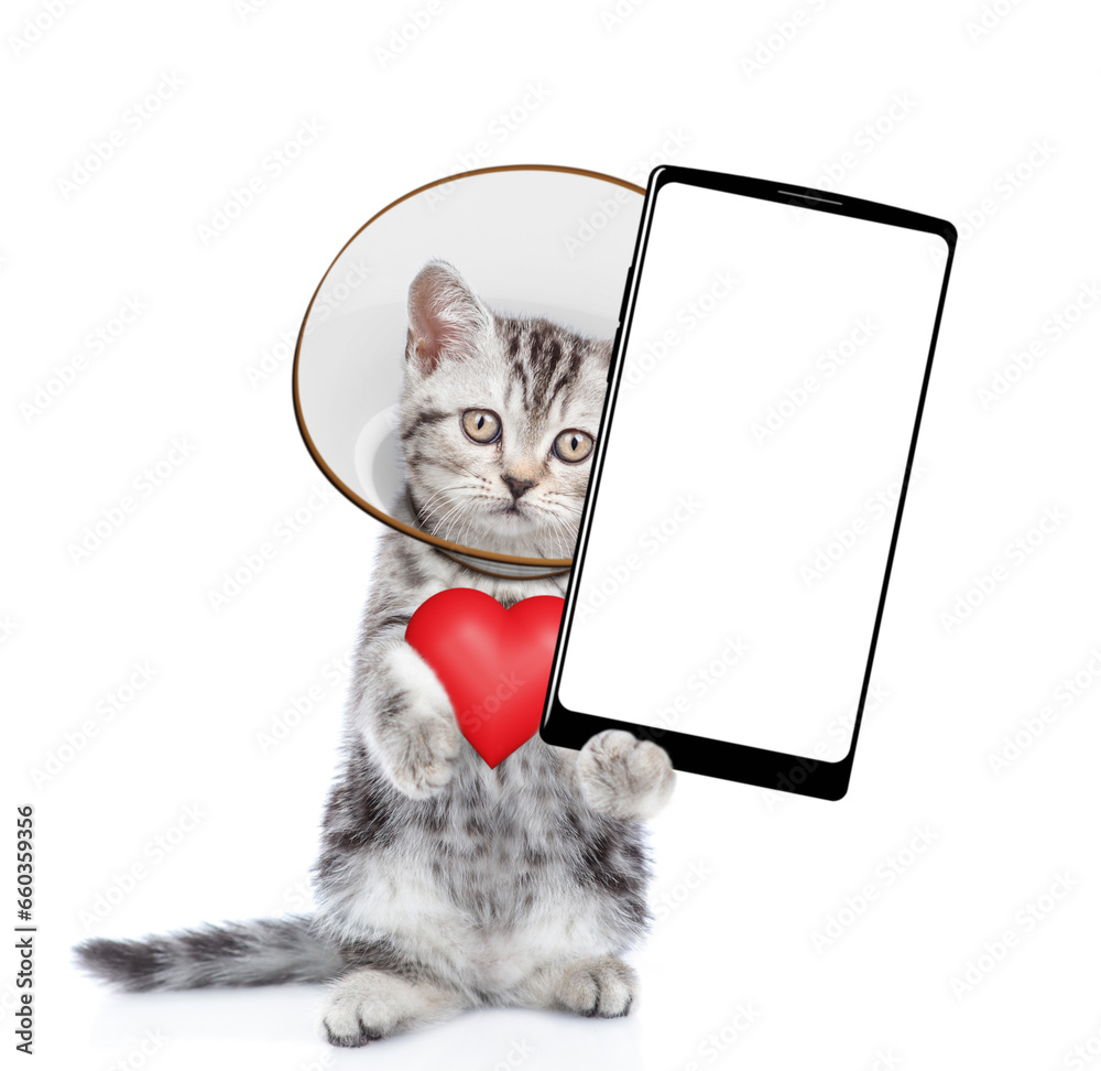 Poster cute tabby kitten with protective cone collar on her neck holds red heart and shows big smartphone w