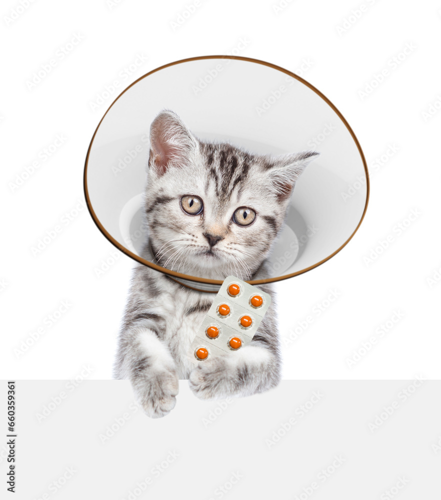 Poster cute tabby kitten wearing protective cone collar looking above empty white banner and showing tablet