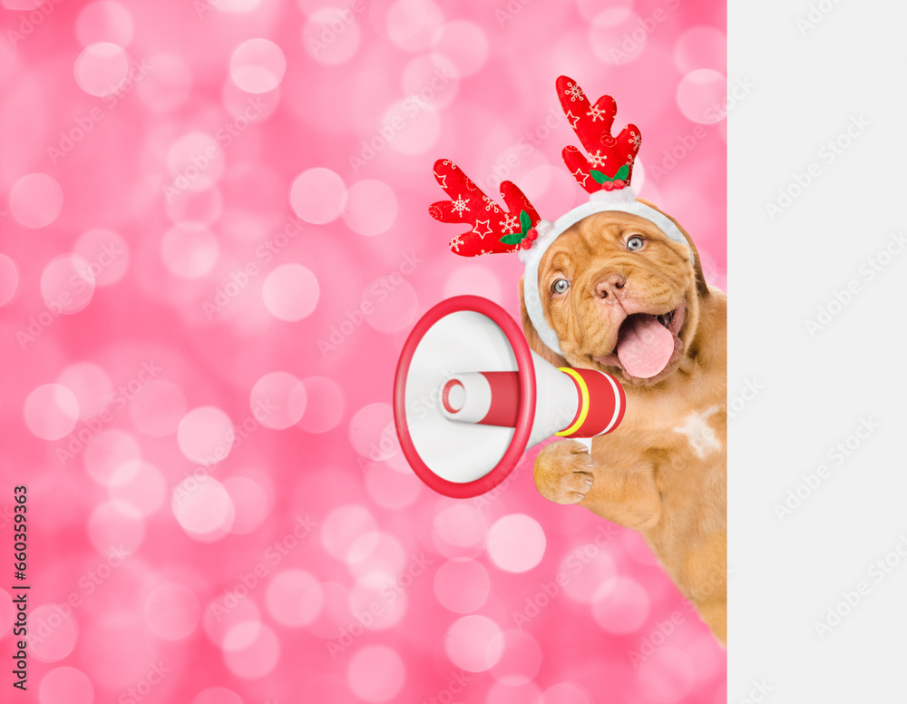 Poster happy mastiff puppy dressed like santa claus reindeer rudolf looking from behind empty white banner 