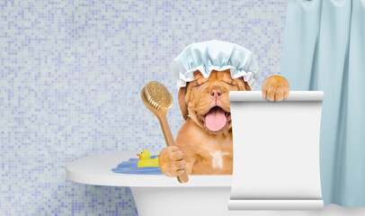 Happy Mastiff puppy takes the bath and shows empty list at bathroom at home. Empty space for text