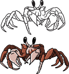 Realistic crab vector