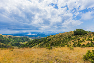 Fototapeta na wymiar Peaceful mountain summer landscape, lush forest and blue sky with clouds.