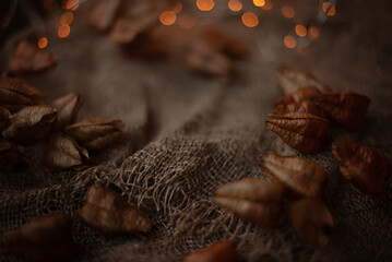 Blurred autumn vintage background composition.