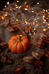 Autumn vintage background composition with little pumpkin.