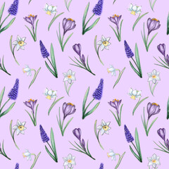 Seamless watercolor pattern with Muscari, daffodils and crocuses. Background in botanical sketch style. Texture for fabric, packaging, backgrounds, wallpapers.