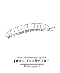 Pneumodesmus, the first land-breathing organism from Silurian period, black and white line art illustration. Ideal for both coloring and educational purposes