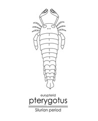 Pterygotus, a Silurian period eurypterid, a giant sea scorpion, black and white line art illustration. Ideal for both coloring and educational purposes