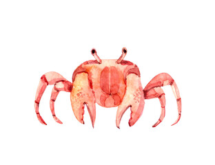 red crab isolated on white background