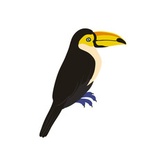 vector drawing sketch of bird, hand drawn toucan , isolated nature design element