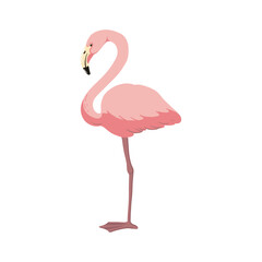 vector drawing sketch of bird, hand drawn flamingo, isolated nature design element
