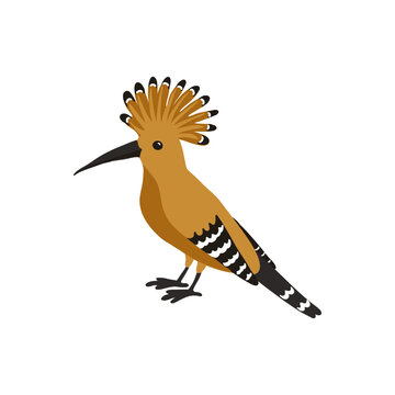 recommend clip art: vector drawing birds of eurasian hoopoe, hand drawn illustration