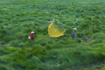 Making a living in the fields