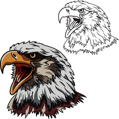 Eagle head vector