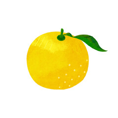 柚子のイラスト