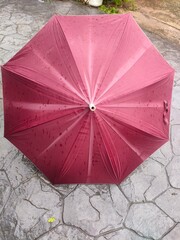 pink umbrella in the rain