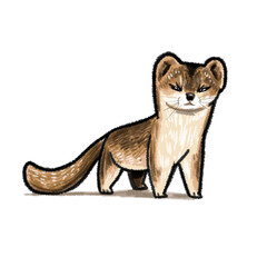 weasel