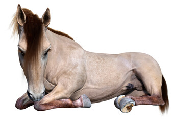 Obraz na płótnie Canvas 3D Rendering Horse on White