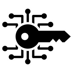 Secret Key Glyph Icon