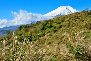 道志山塊のイモ山より富士山と大平山を望む

