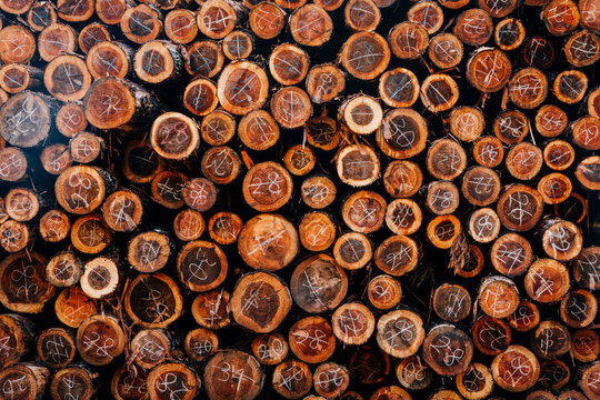 wood