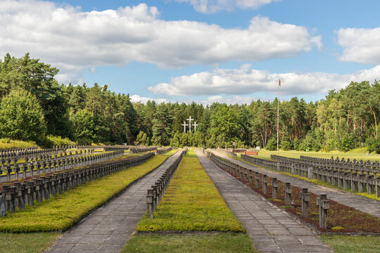Panoramic view of the Palmiry war cemetery - historic memorial for the World War II victims of Warsaw and Mazovia - within the Kampinoski National Park, Mazovia, Poland