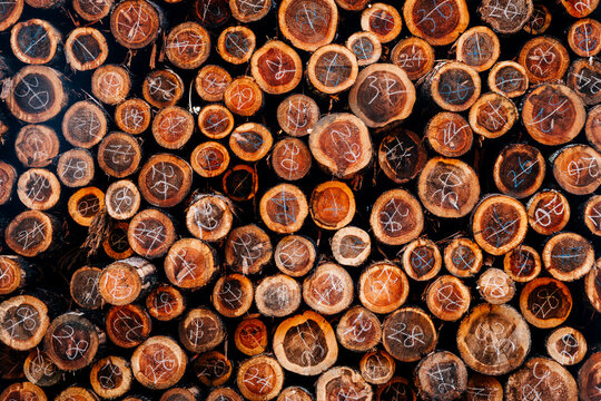 wood